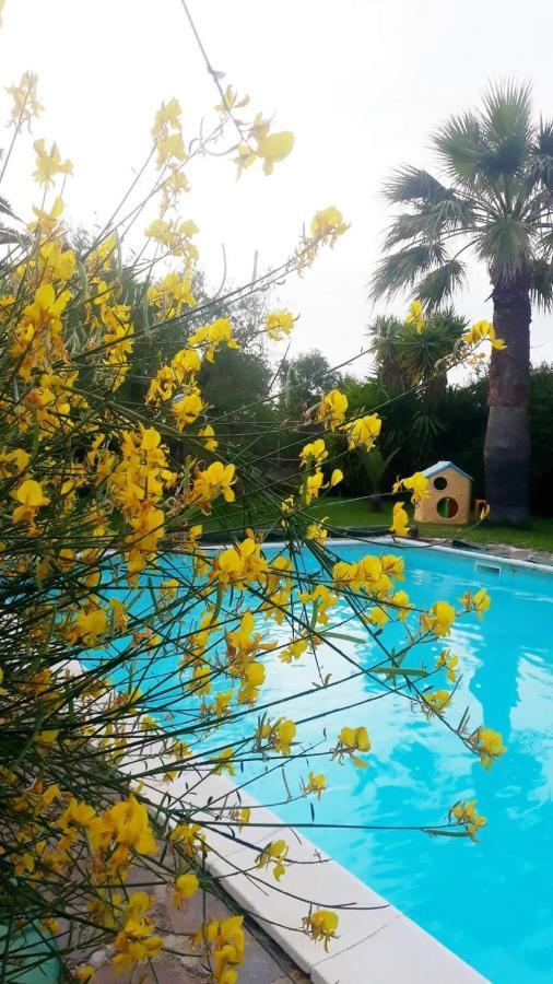 La Ginestra Bed & Breakfast Трани Екстериор снимка