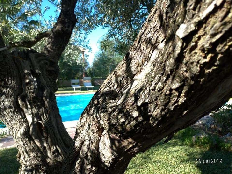 La Ginestra Bed & Breakfast Трани Екстериор снимка